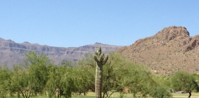 Cactus in front of Superstition Mountain