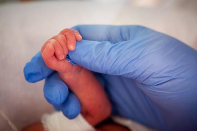 quintuplets31n-3-web