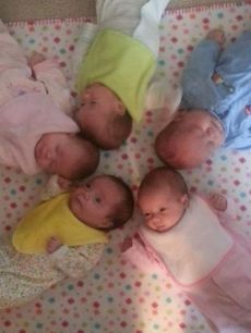 Baby Pinwheel: Lily (Green), Theo (Blue), Ellie (White & Pink), Kali (Yellow), Bella (Pink)