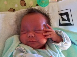 Silly Kali Mae who may be one part screecher monkey and another part parakeet.