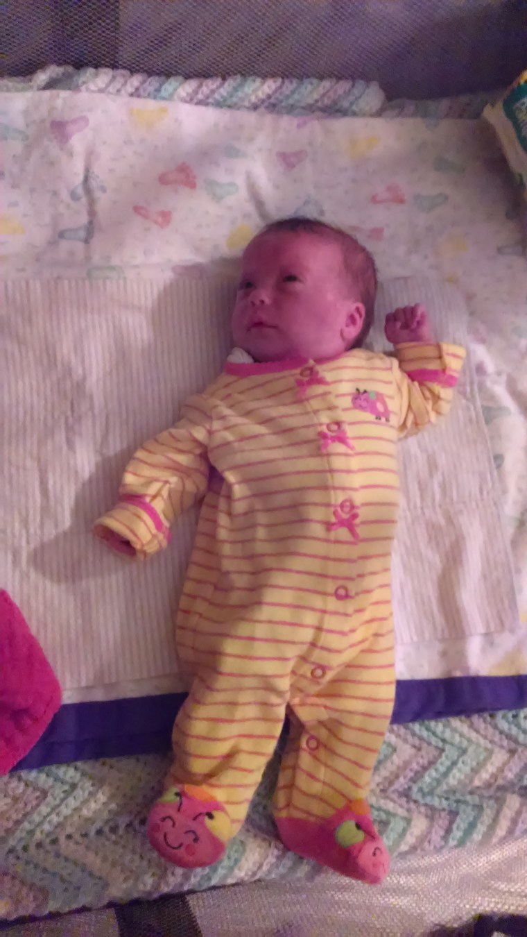 The alert lil' Lily Bug