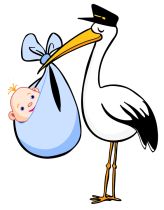 Stork-with-Blue-Blanket