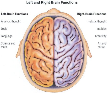 left_right_brain