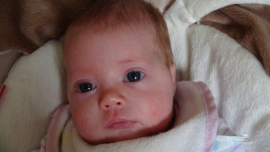 Quiet and alert Bella