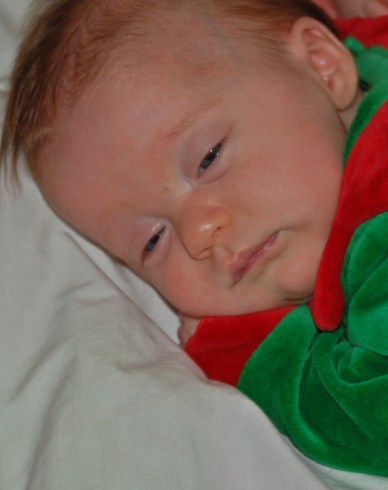 It looks like Lily is all tuckered out, too.