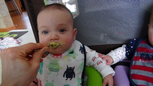 Theo chowing down on avocado