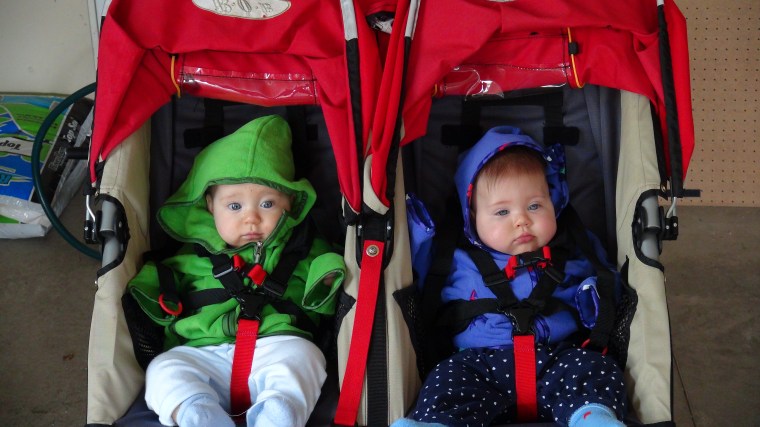 Lily, the garden gnome, and Bella ready for a stroll.