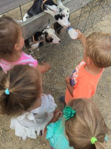 13921123_10106632838560170_2743700188796276400_n