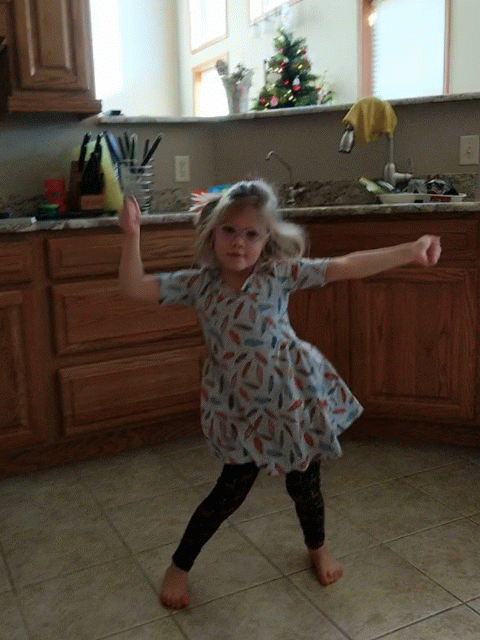 MVIMG_20181215_120033-ANIMATION